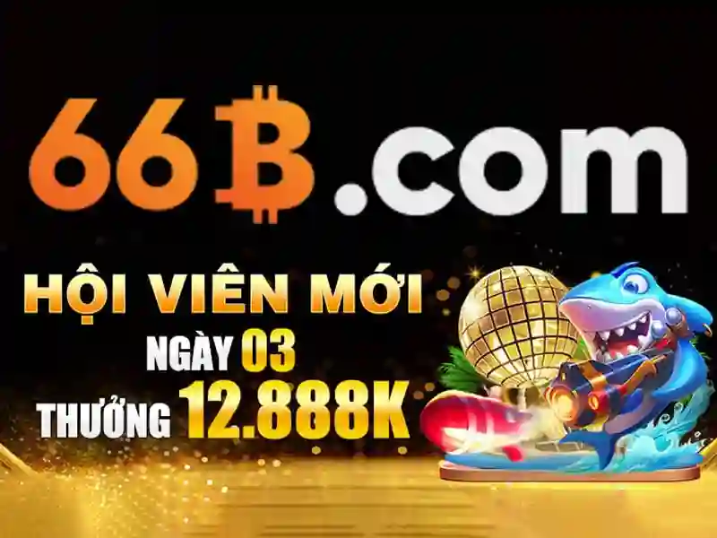 liên hệ 66b – hành trình thương hiệu và trải nghiệm khách hàng