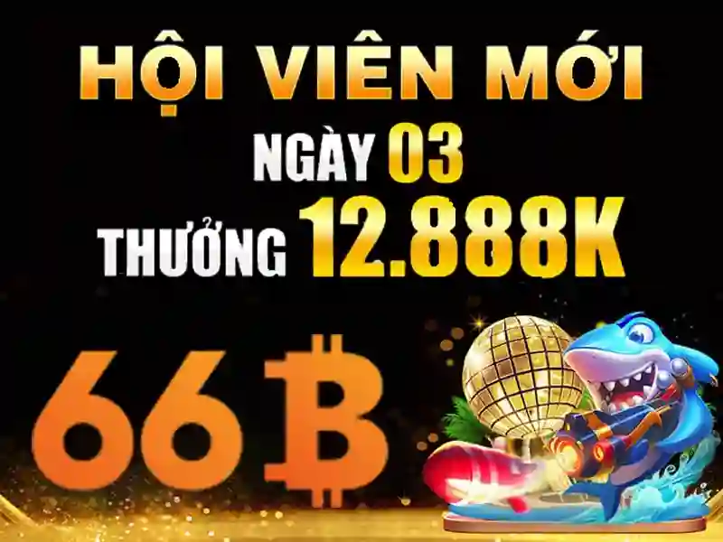 khuyến mãi 66b – sản phẩm và dịch vụ chủ chốt