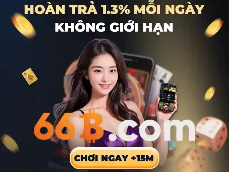 66B là gì?