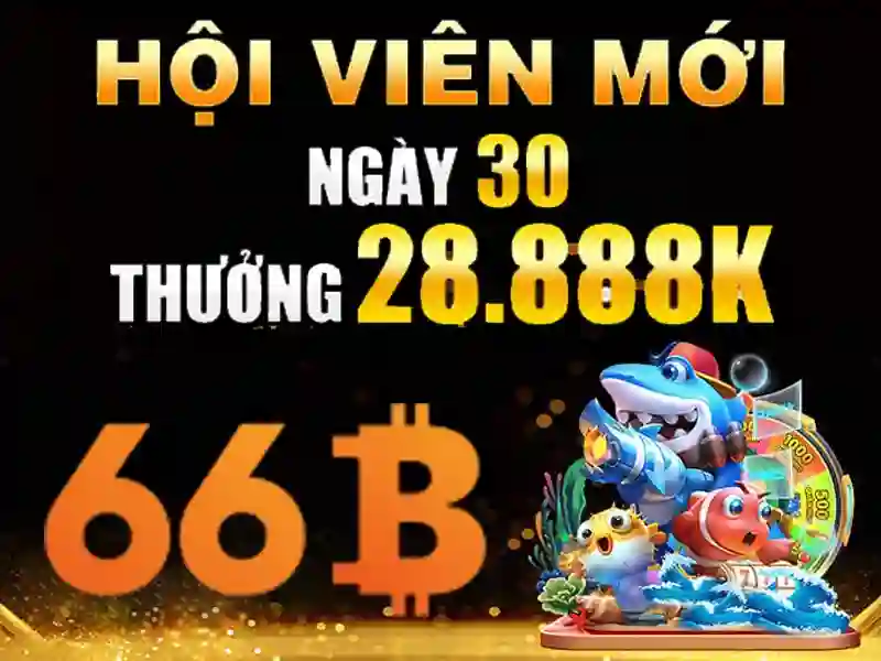quên mật khẩu 66b – Trải nghiệm, nguồn lực và đánh giá