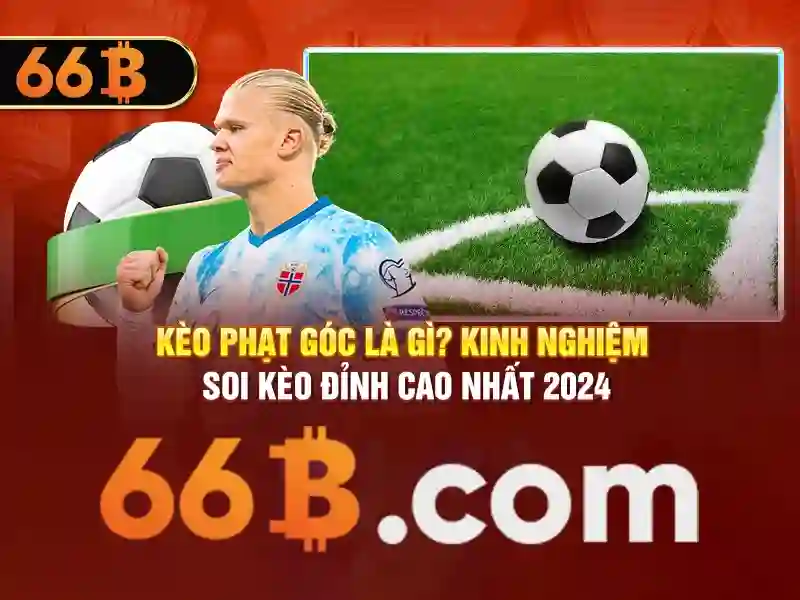 66b: khái niệm, cấu trúc và ứng dụng
