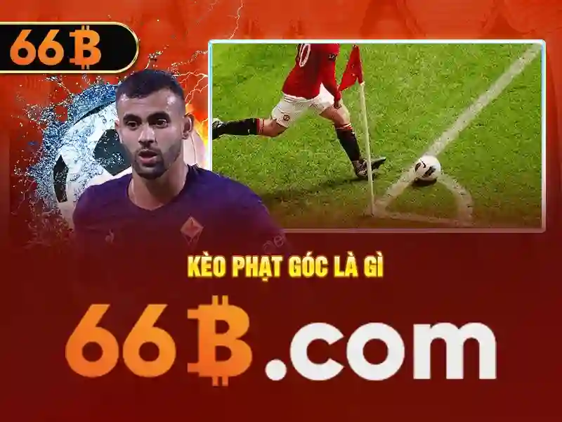 66B: Tổng quan về một mô hình ngôn ngữ lớn
