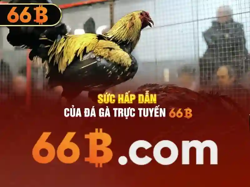 pt6a-66b - Hành trình trải nghiệm và đánh giá nổi bật