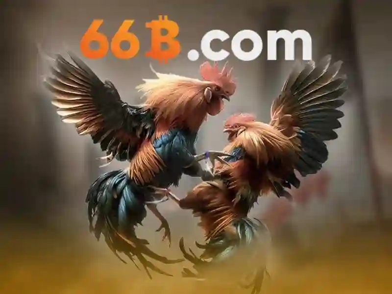 66b .com – Tổng quan thương hiệu và trải nghiệm người dùng