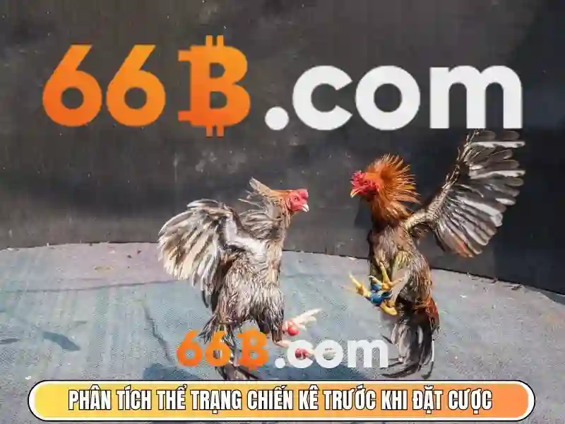 66B: Mô hình ngôn ngữ quy mô 66 tỷ tham số và ứng dụng của nó