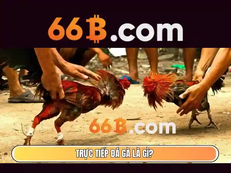 Tiềm năng và ứng dụng