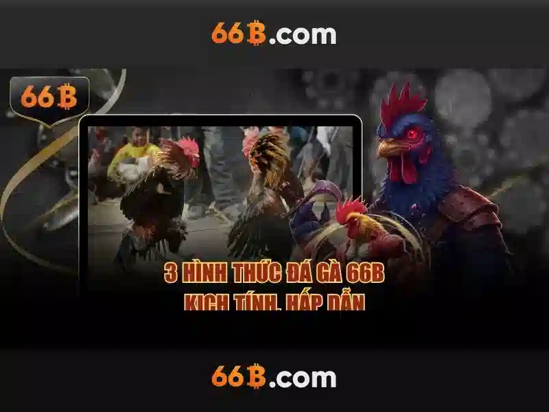 66b nguyễn sĩ sách tân bình – Tổng quan chủ đề và giá trị cốt lõi