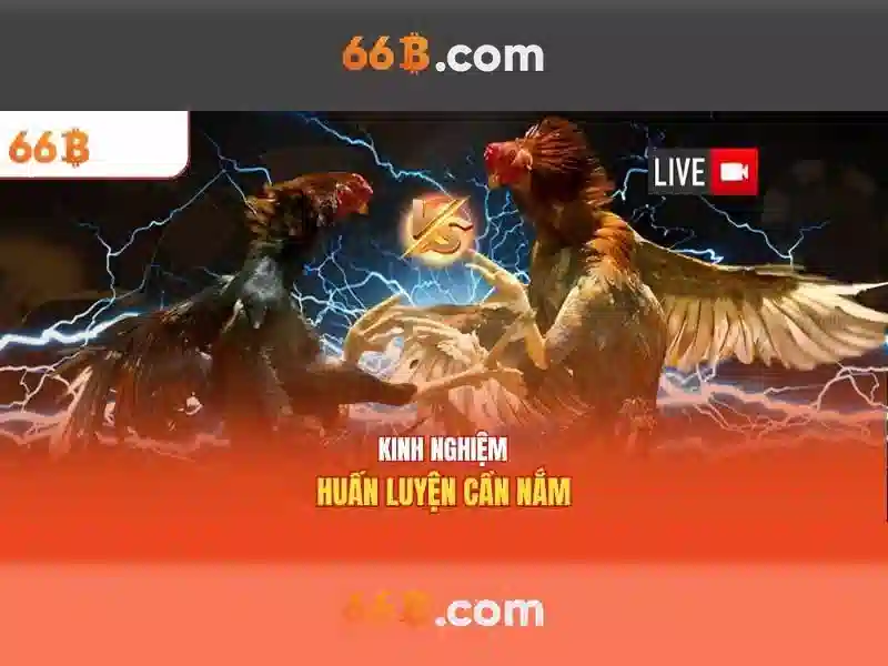 66B: Khái niệm và tác động của một mô hình ngôn ngữ lớn 66B