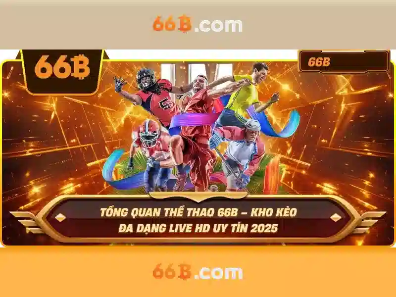 66b nguyễn sĩ sách tân bình: Nền tảng sáng tạo và kết nối