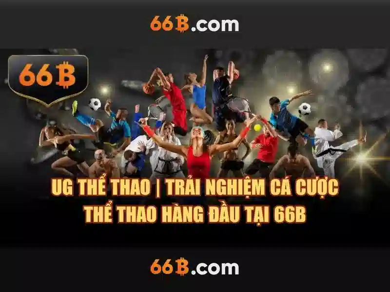 Đặc điểm nổi bật của 66B