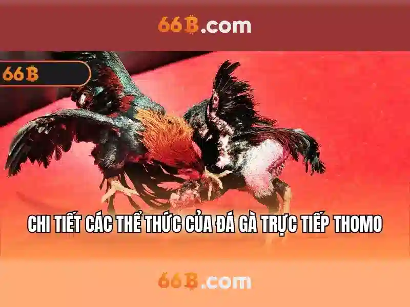 66b: Doi luc cua mot thuong hieu ky thuat