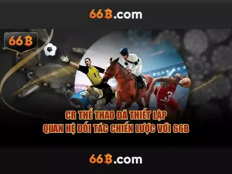 An toàn và quản lý rủi ro