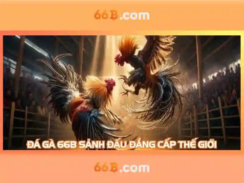 66b: Khai phá chu kỳ số và ứng dụng