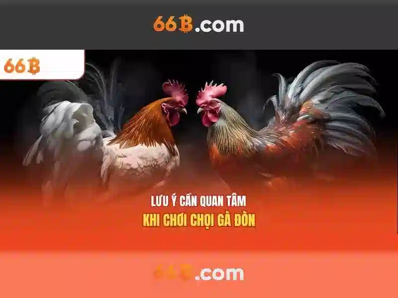 66B: Khái niệm và tiềm năng của mô hình công nghệ mở