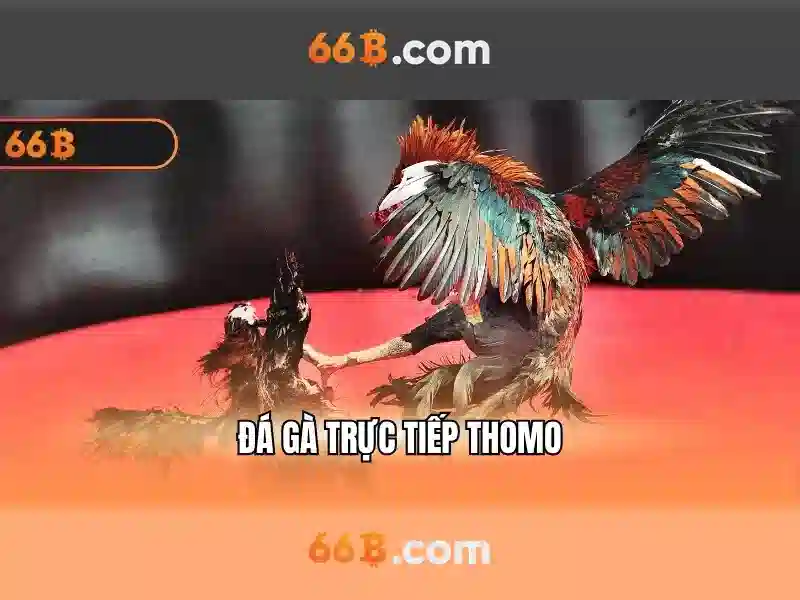 66b: một cái nhìn tổng quan về mô hình ngôn ngữ lớn 66 tỷ tham số