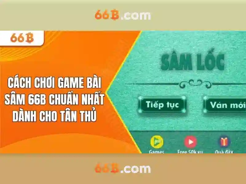 66b: một mã hiệu và sự giải thích