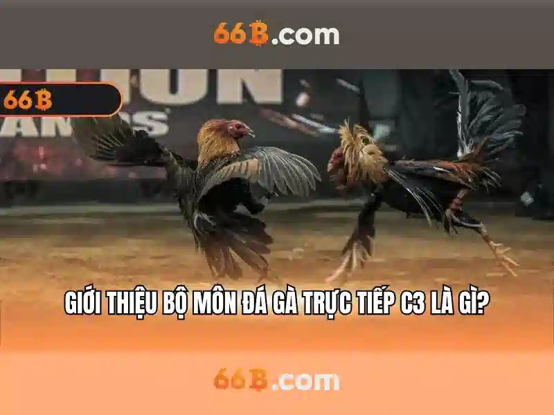 66b nguyễn sý sách – hành trình thương hiệu và trải nghiệm đỉnh cao