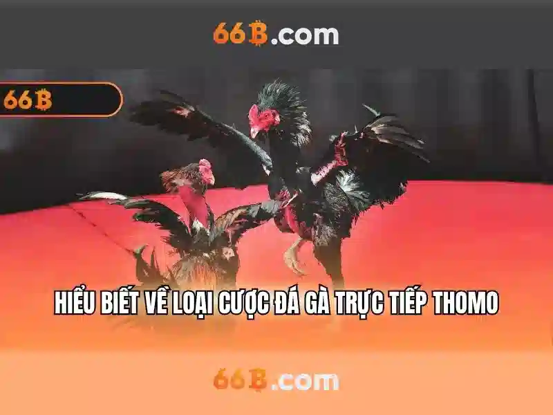 66B: Khám phá mô hình ngôn ngữ quy mô lớn (66 tỷ tham số)