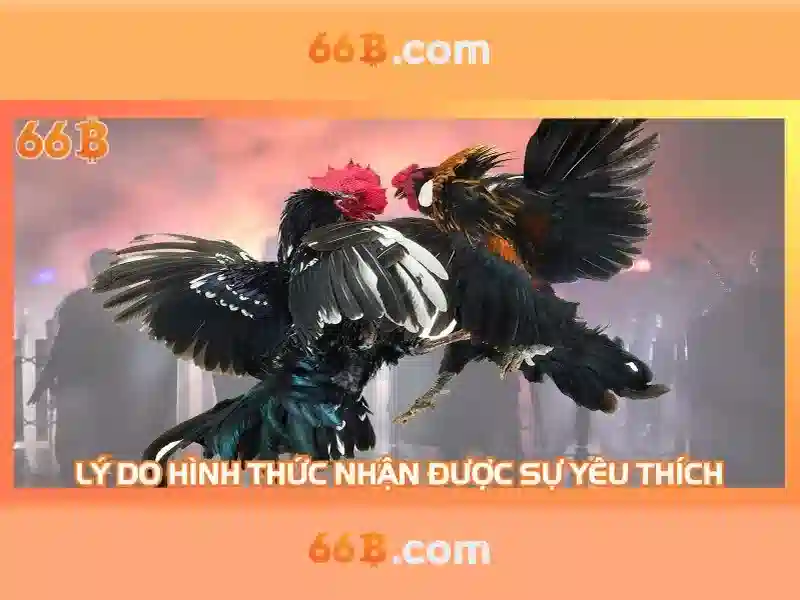 Giới thiệu về 66B: một mô hình ngôn ngữ lớn