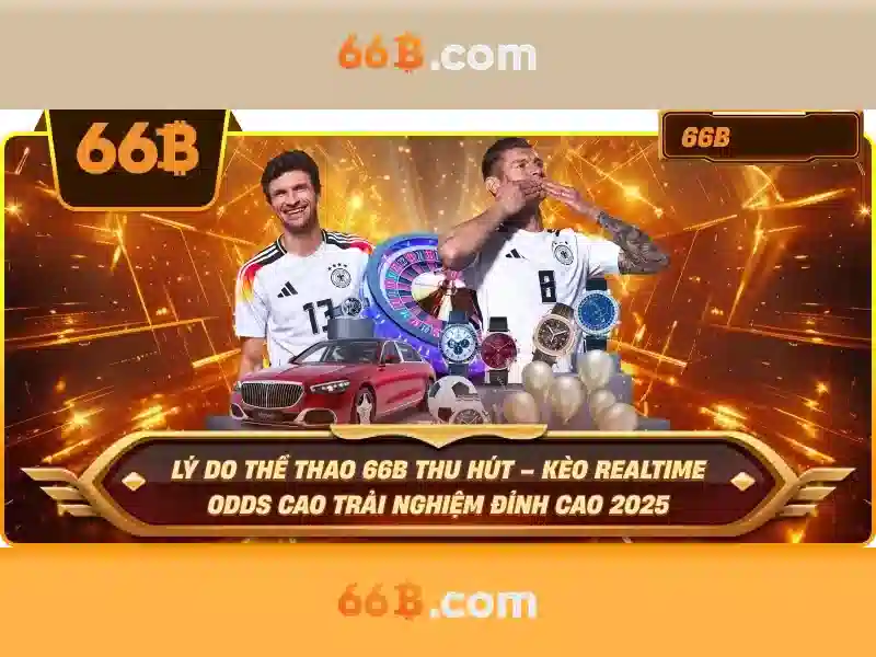 66b: Khái niệm, thiết kế và ứng dụng