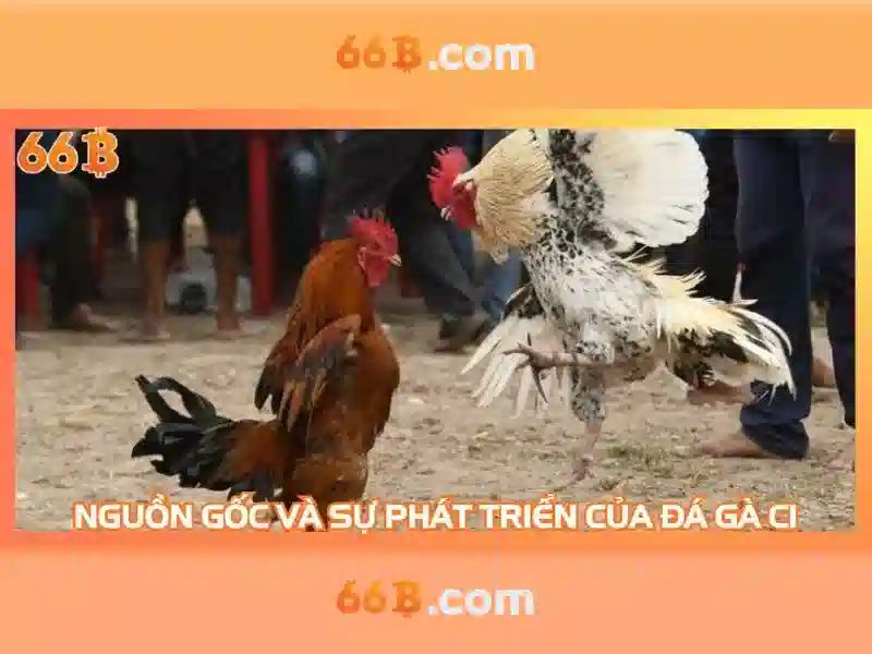Một cái nhìn về 66B: mô hình ngôn ngữ quy mô lớn