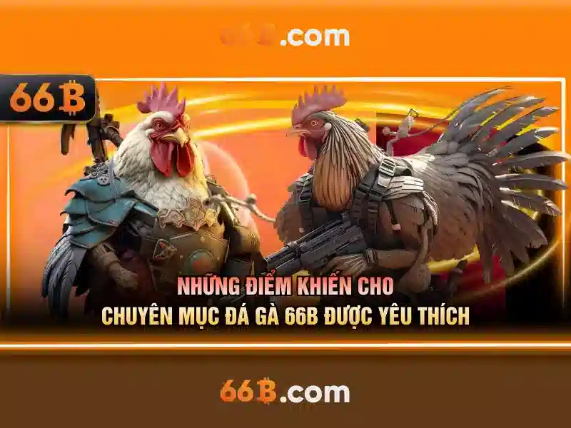Cấu trúc và kích thước của 66B
