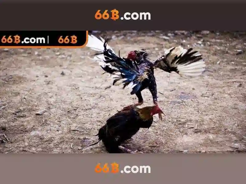 Ứng dụng thực tế của 66b