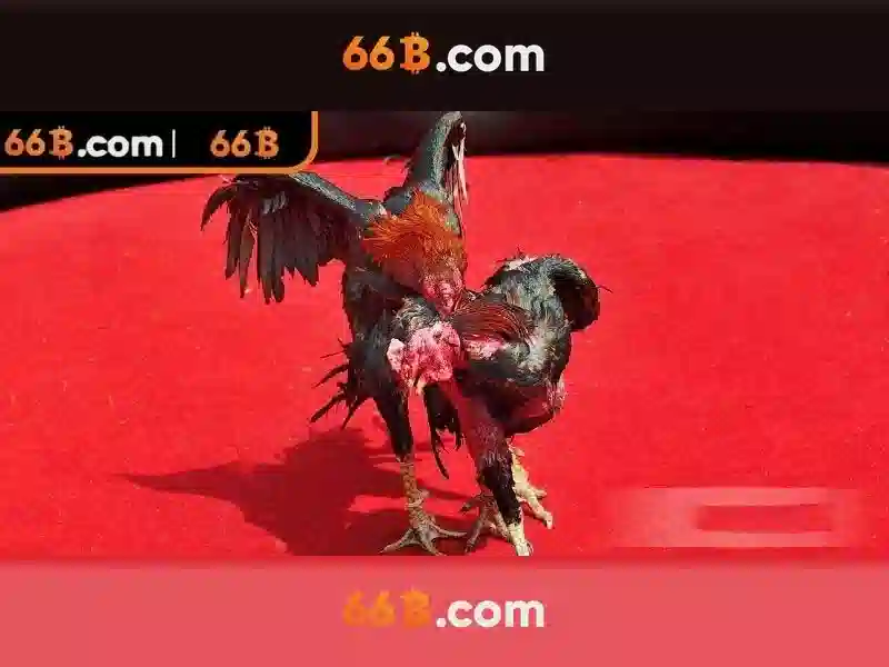 66b: Khái niệm, ứng dụng và tương lai