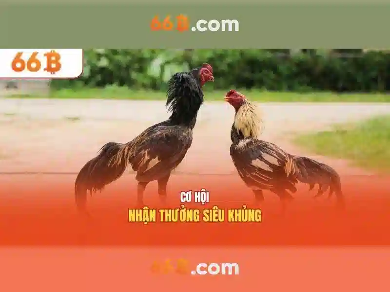 66b: Khái niệm, ứng dụng và tác động