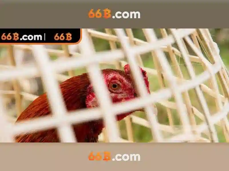 Mô hình 66B: Khám phá sức mạnh của ngôn ngữ lớn