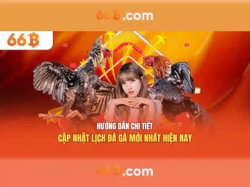 66b: một cái nhìn tổng quan về mô hình ngôn ngữ lớn