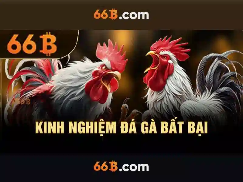 66b là gì: Mô hình AI 66 tỷ tham số