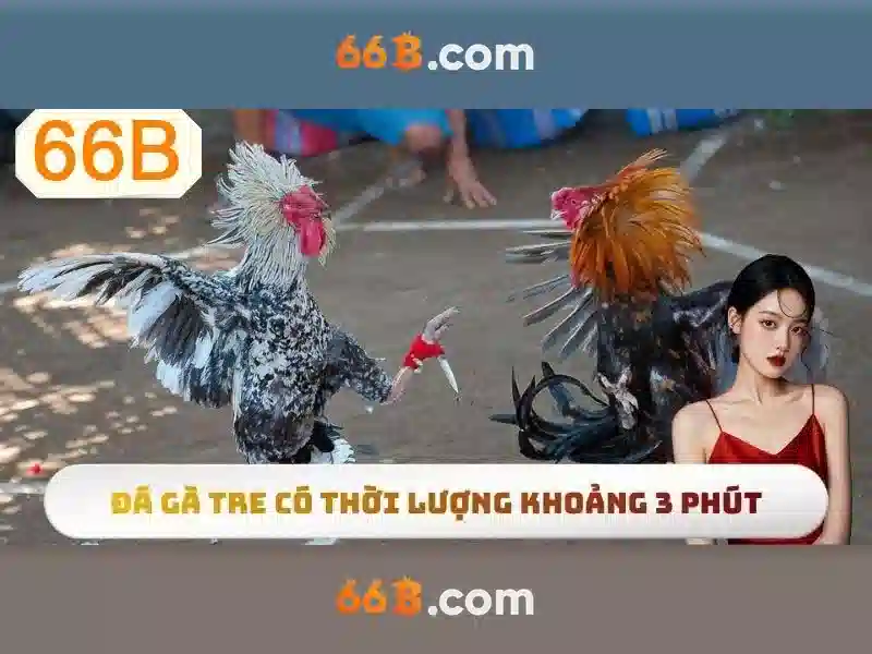 66b là gì?