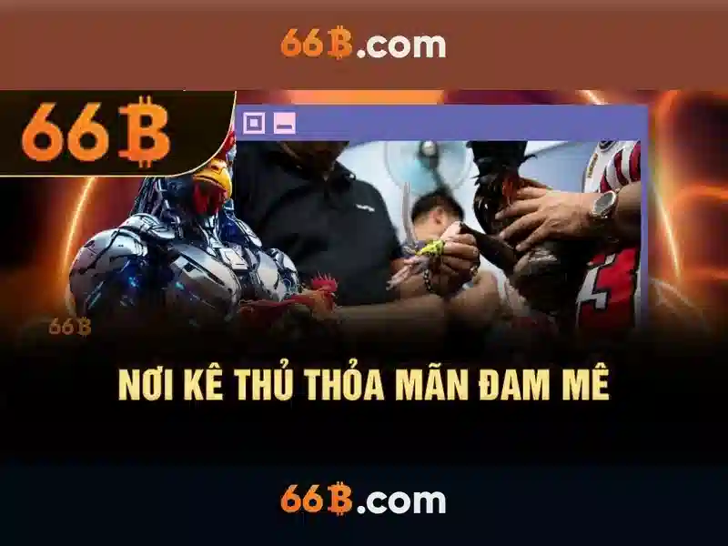Giới thiệu về 66b