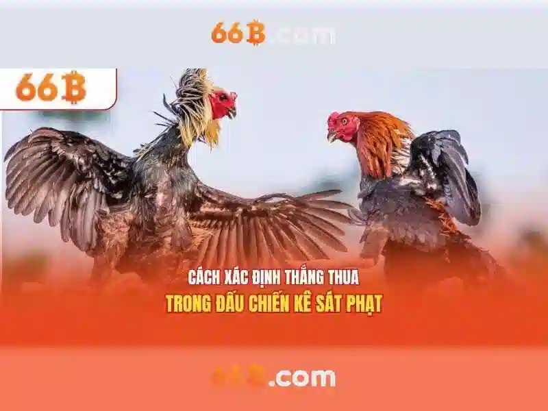 66b và hành trình khám phá công nghệ