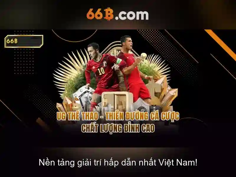 Đặc điểm nổi bật của 66B