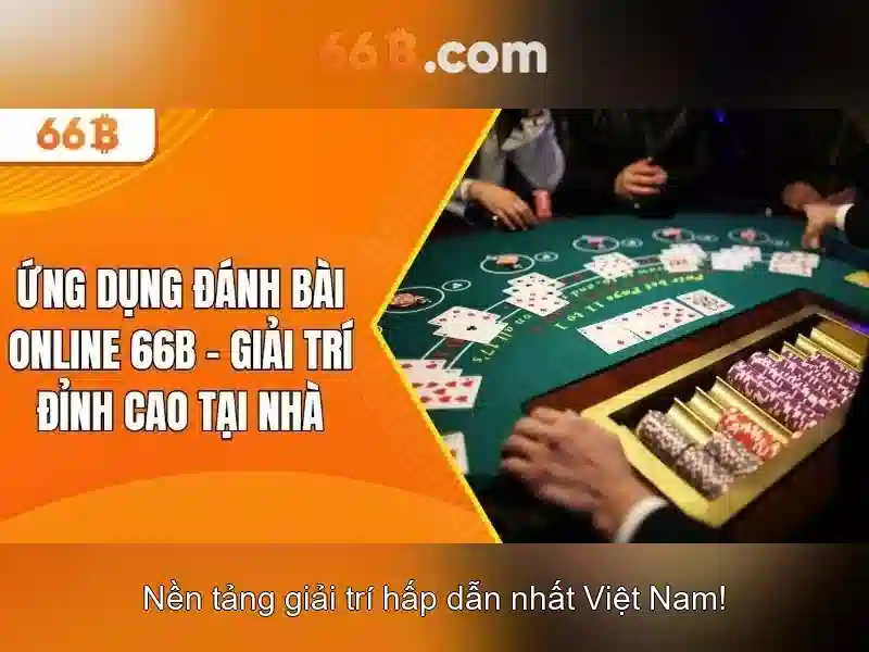 66B là gì