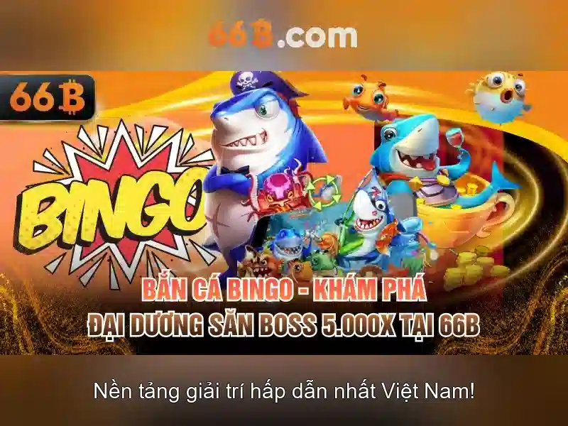 66b bus route - Nối tuyến, trải nghiệm và tương lai