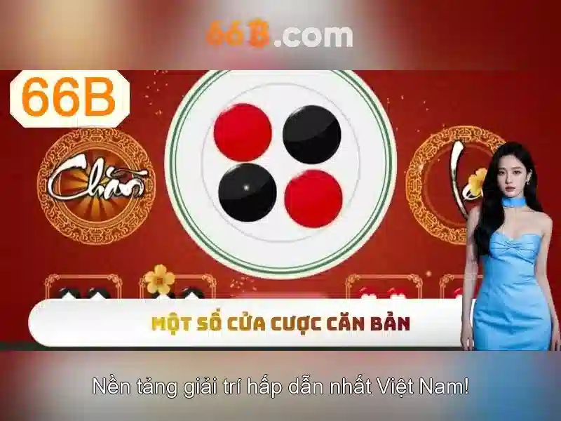 66b là gì trong lĩnh vực công nghệ và dữ liệu