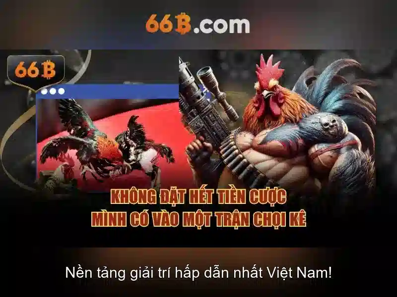 66B là gì và vì sao nó được quan tâm