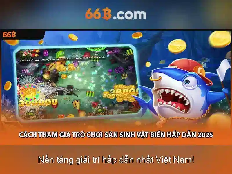 Khả năng và ứng dụng
