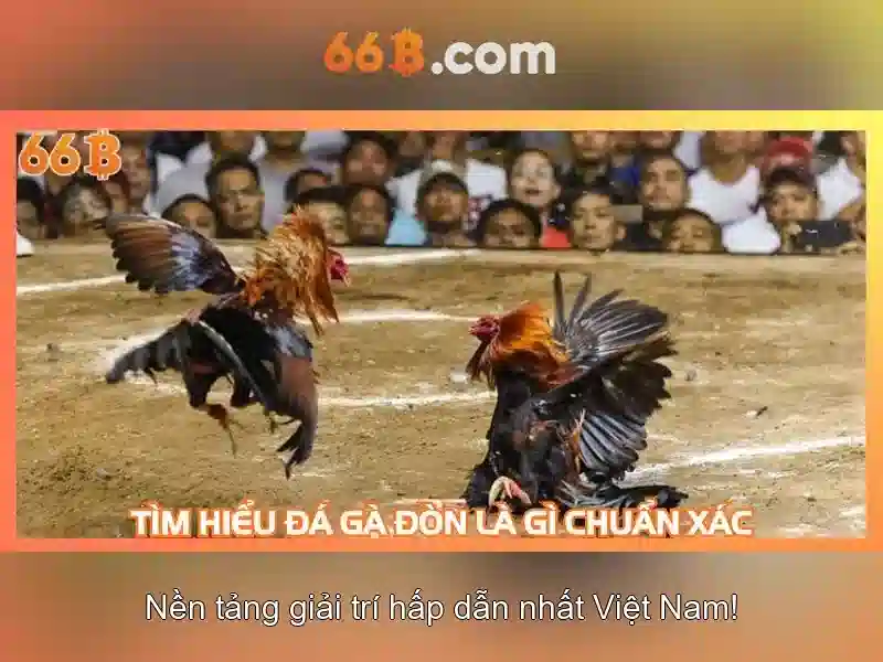 66b — Khái niệm, nguồn gốc và ứng dụng