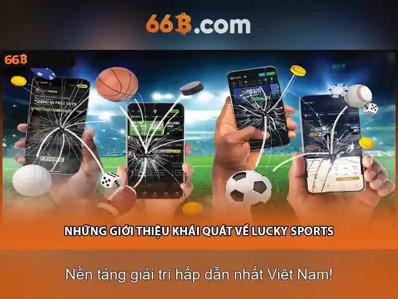 66B là gì?