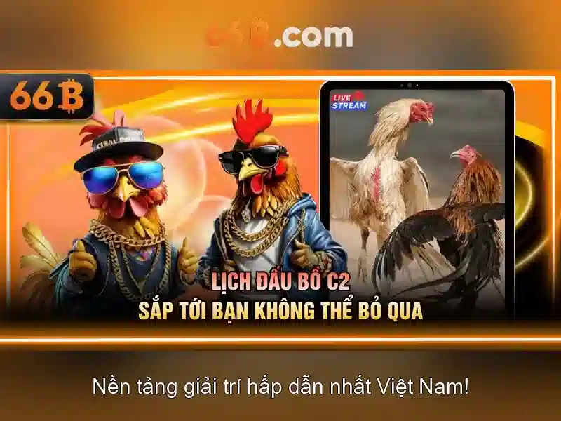66b là gì?