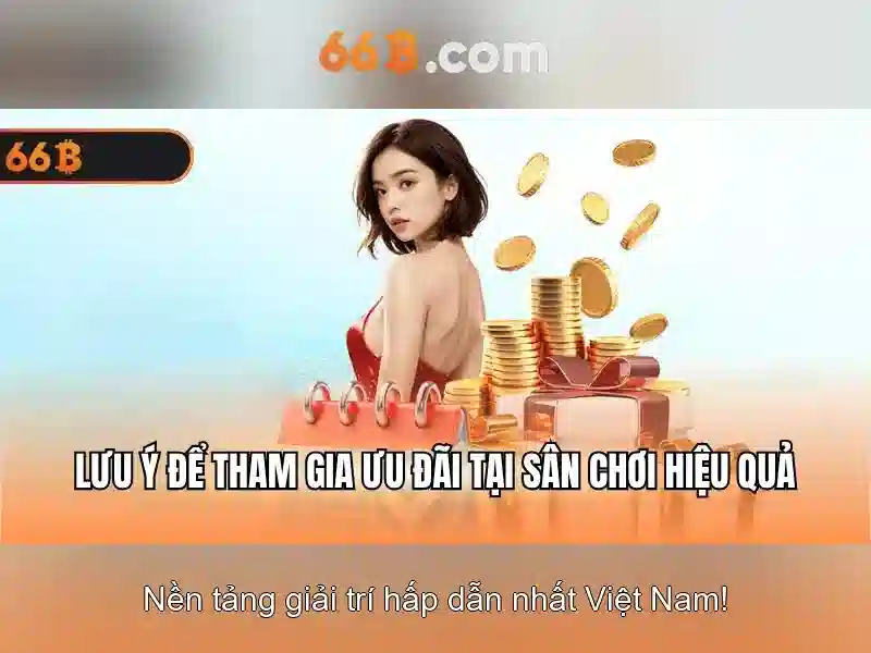 66b là gì