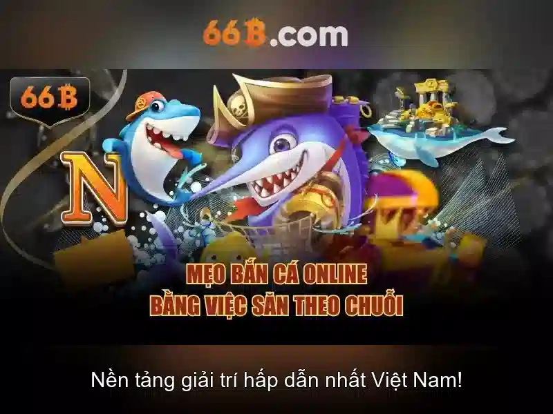 66B là gì và tại sao quan trọng