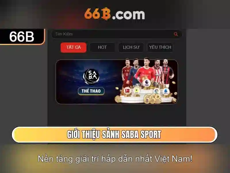 66B: một cái nhìn tổng quan bằng tiếng Việt