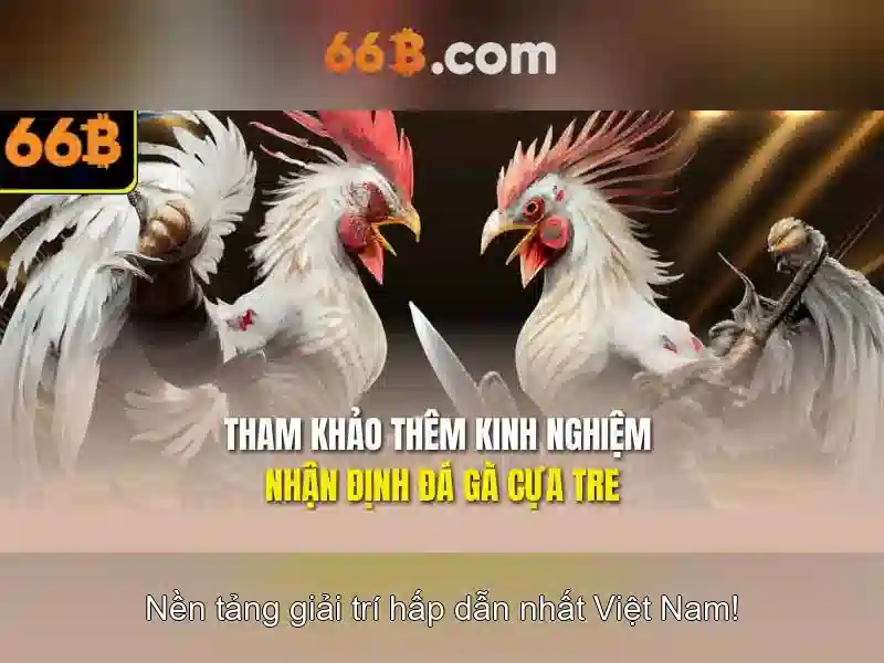 66B – Mô hình ngôn ngữ 66 tỷ tham số