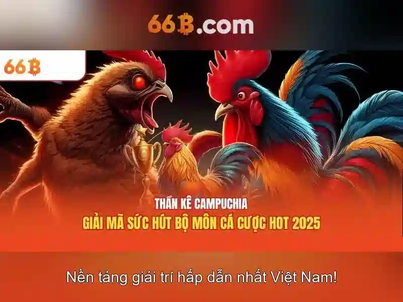 Ứng dụng và tương lai