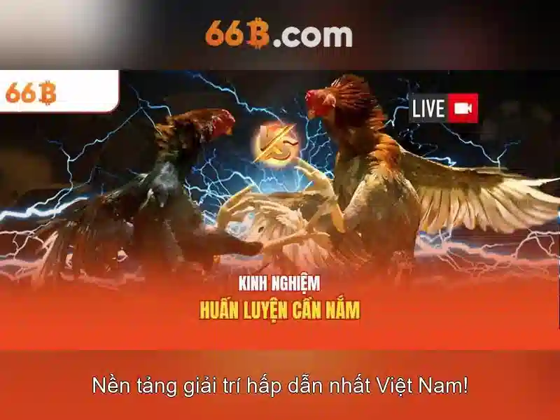66b: một cái nhìn tổng quan về một khái niệm công nghệ